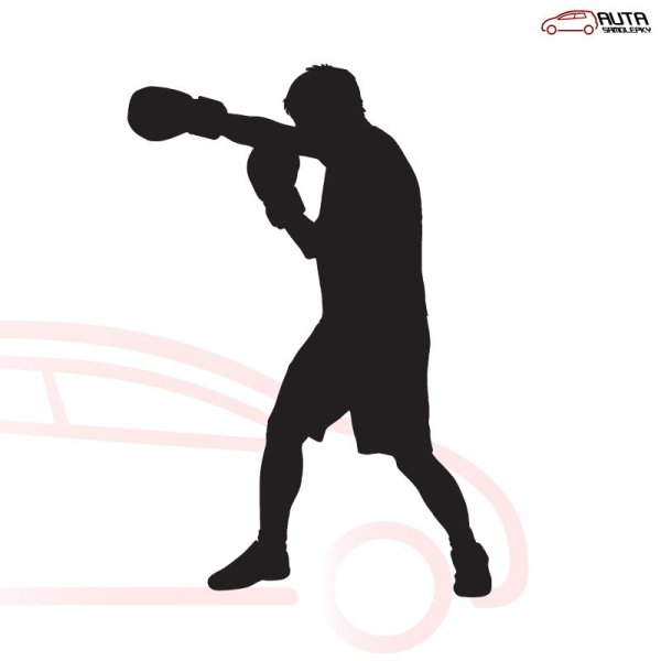 Бокс векторные изображения