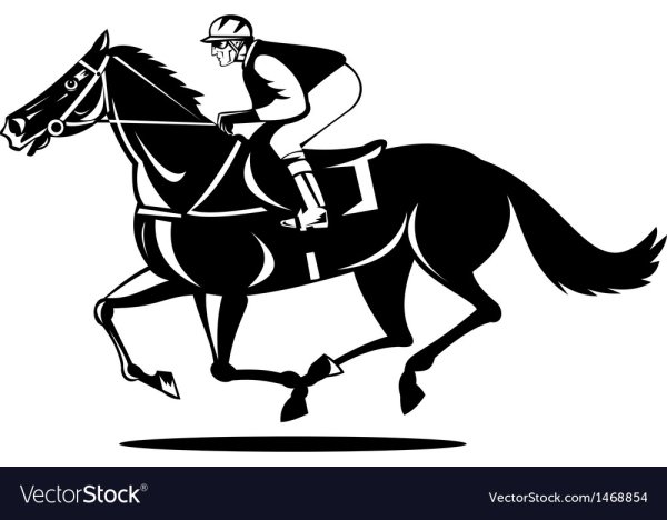 Наездник с лошадью черно белое