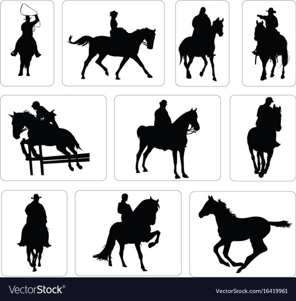 Всадник на конен силует вектор