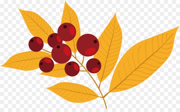 Рябиновый лист вектор