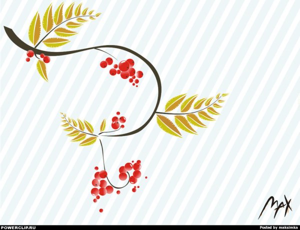 Рябина узор