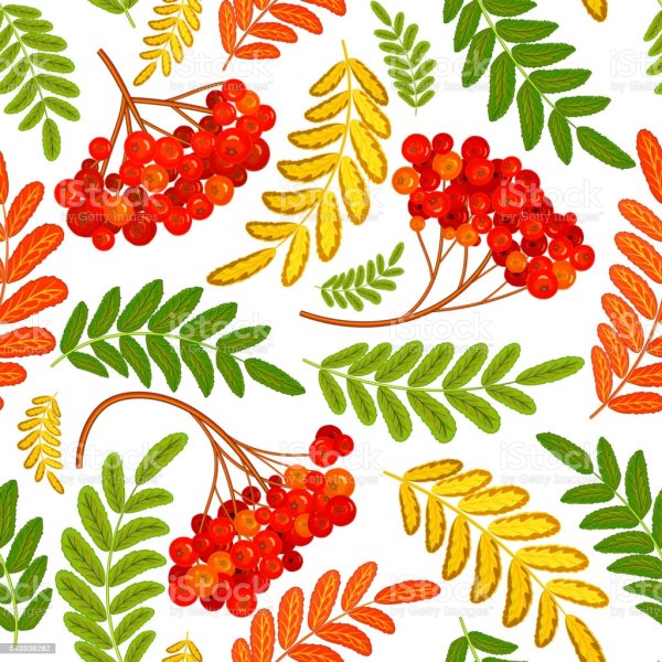 Осенние листья с рябиной вектор