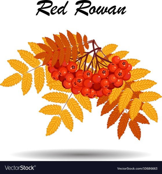 Детский логотип Рябинки осенний