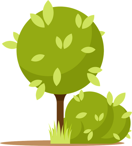 Векторный куст