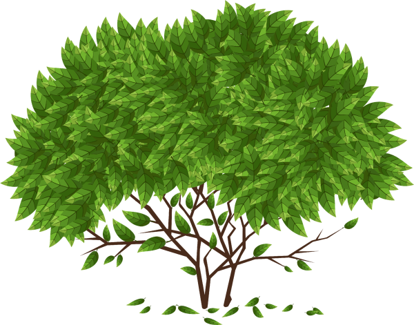 Векторный куст