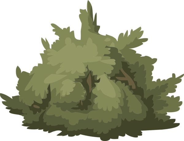 Нарисовать куст