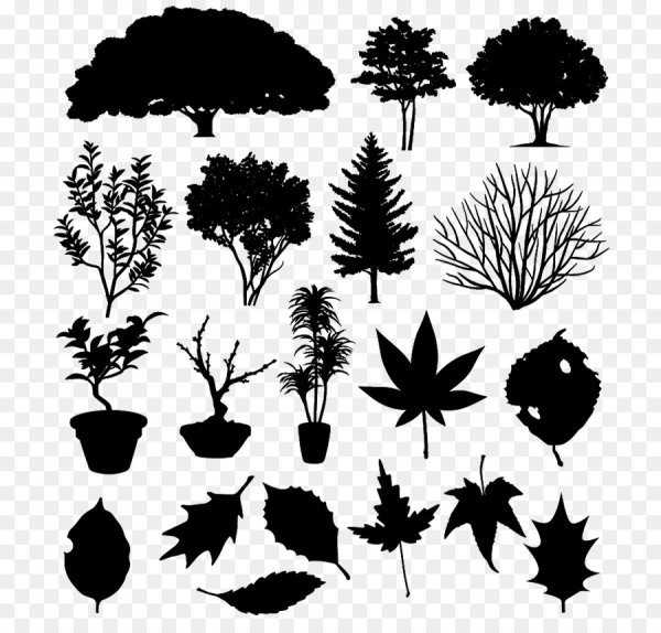 Силуэт кустарника