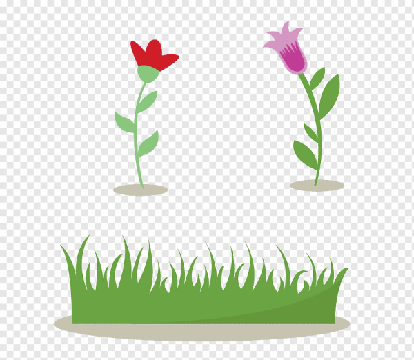 Нарисовать куст