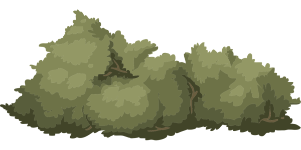 Нарисовать куст