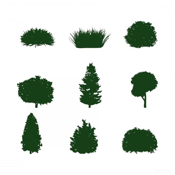 Силуэты кустов и деревьев