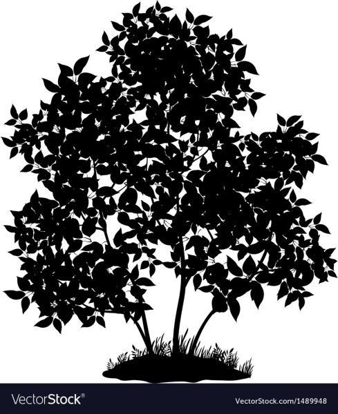 Кусты силуэт