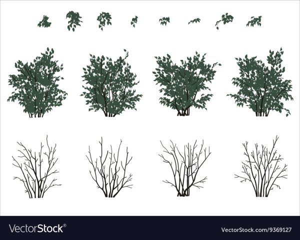 Силуэт кустов