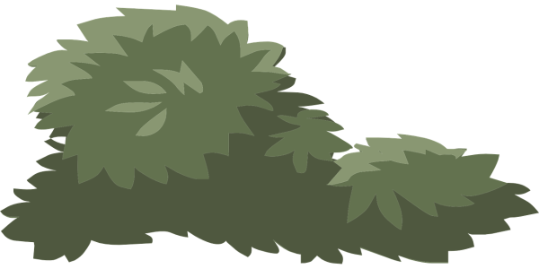 Куст вектор