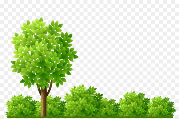 Мультяшное дерево и кустарник