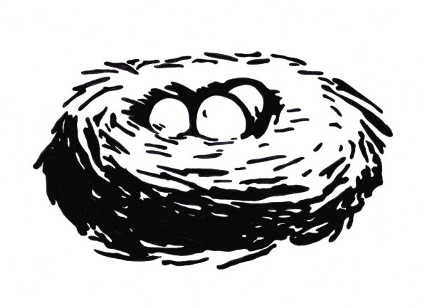 Нарисовать гнездо