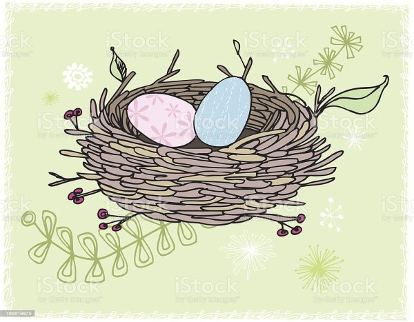 Птица в гнезде вектор