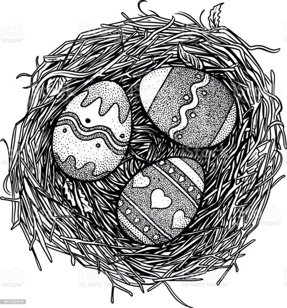 Гнездо с яйцами рисунок