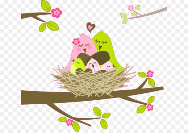 Птички в гнезде вектор