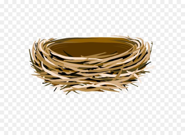 Гнездо векторный клипарт