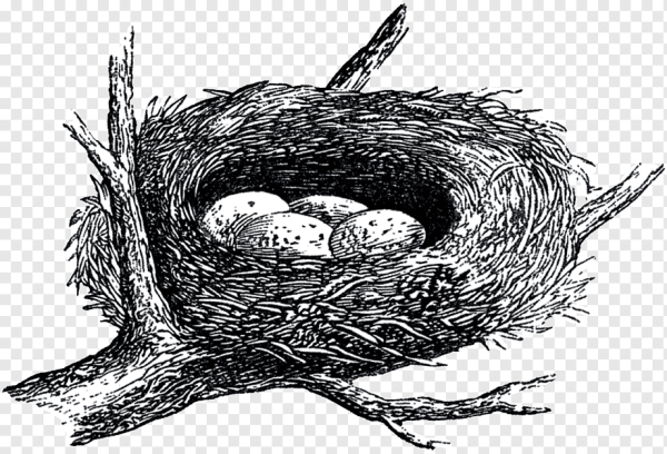 Гнездо для птиц.