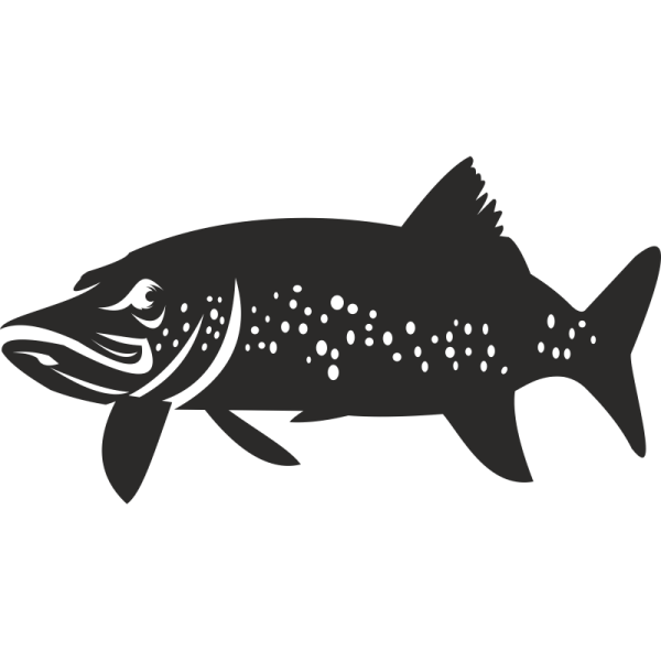 Силуэт хищной рыбы