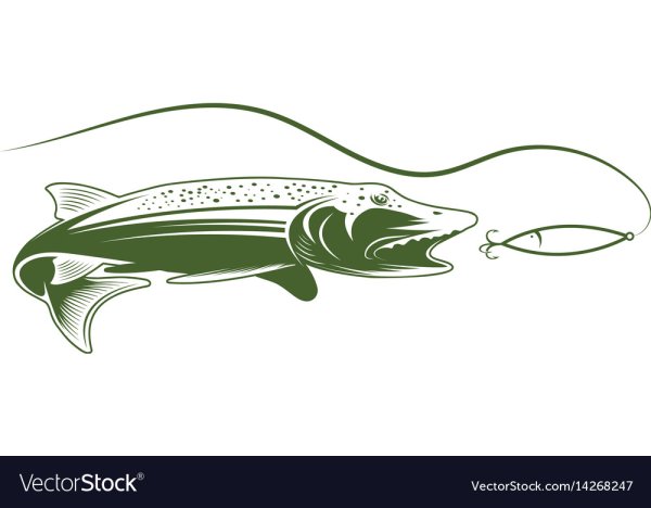 Щука логотип