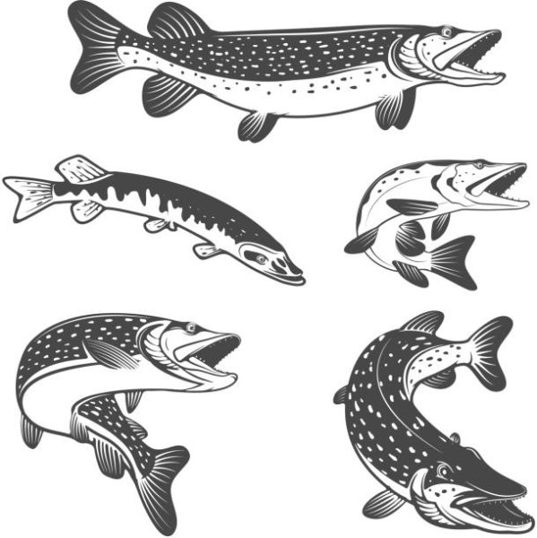 Стилизованная щука