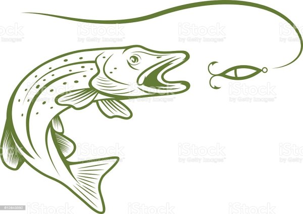 Щука вектор вектор