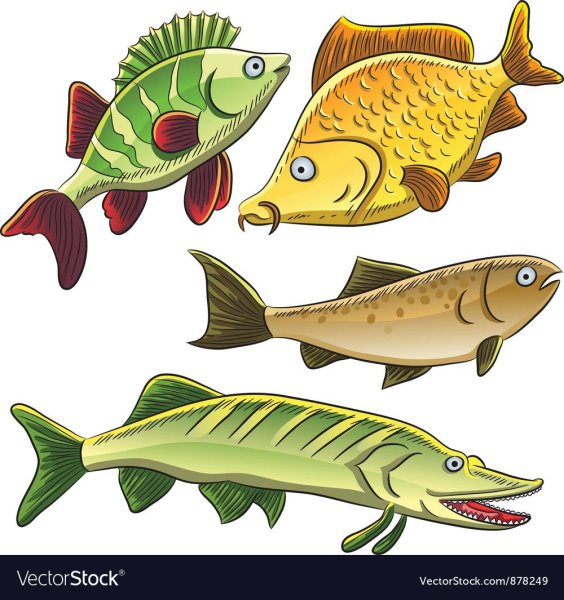 Рыба иллюстрация
