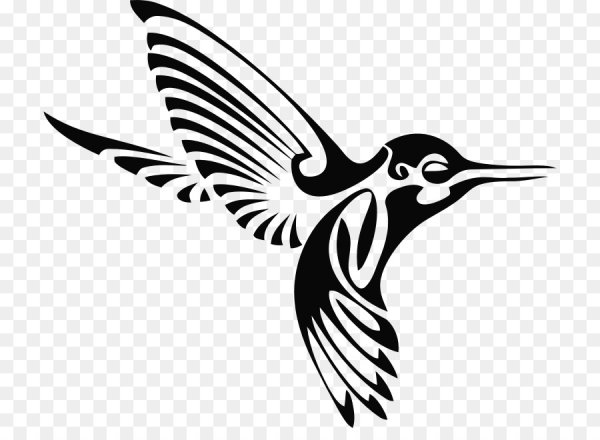 Птица вектор