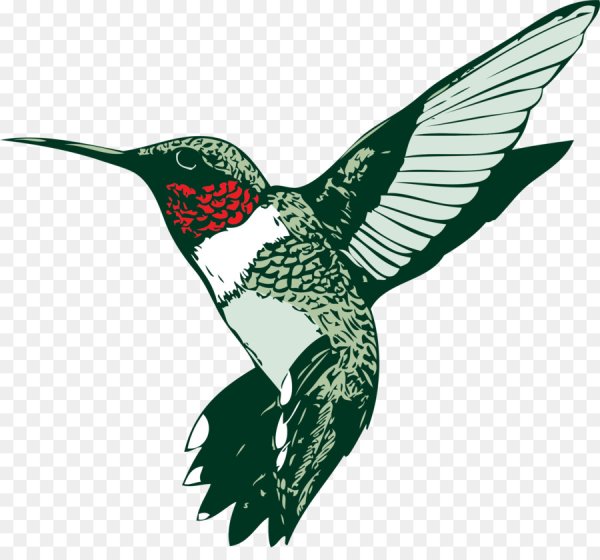 Птица в векторной графике