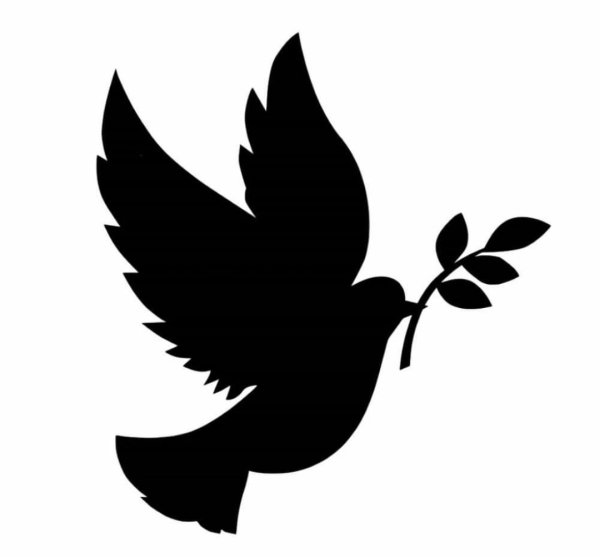 Силуэт голубя