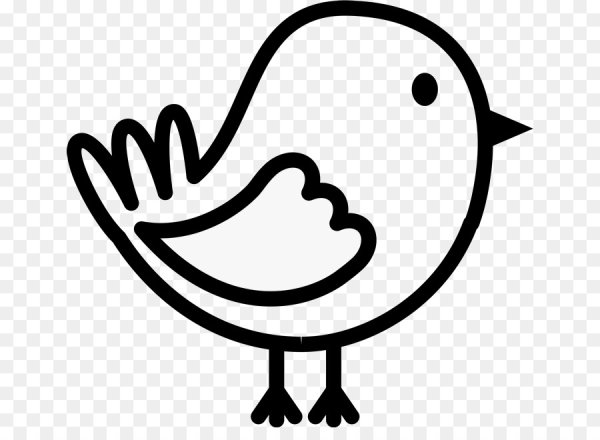 Контур птички на прозрачном фоне