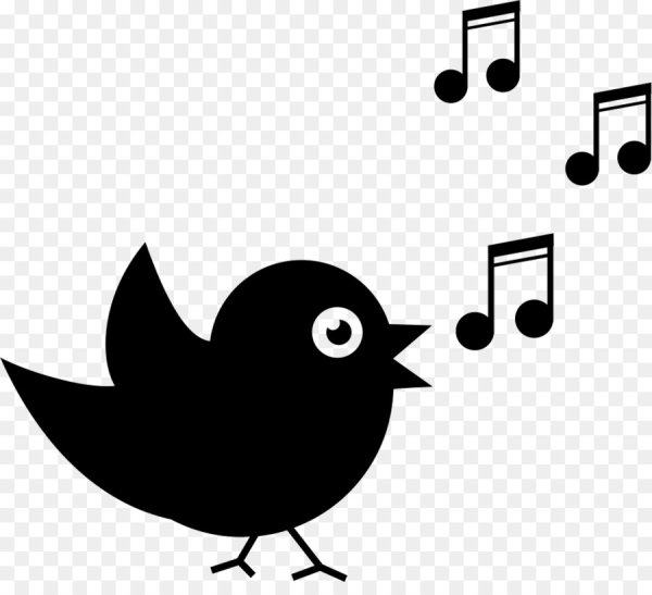 Векторные изображения птиц