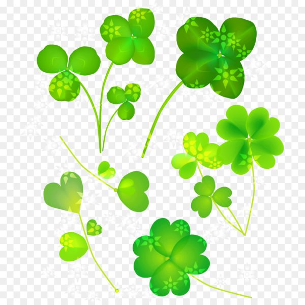Четырехлистный Клевер vector