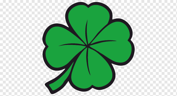 Shamrock Clover