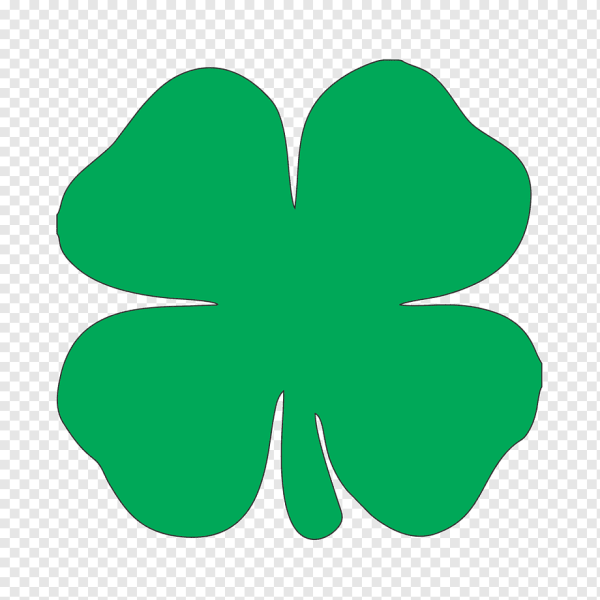 Клевер четырехлистный Святой Патрик