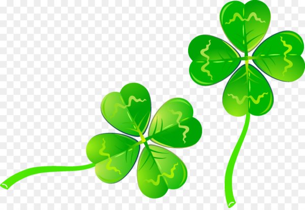 Клевер четырехлистный Клевер