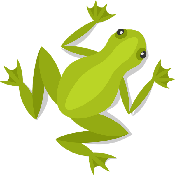 Лягушка Векторная