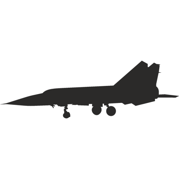 Силуэт миг 31