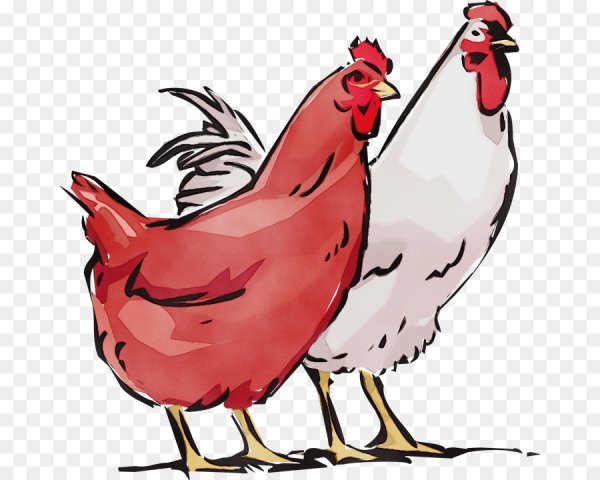 Истинная правда Андерсен