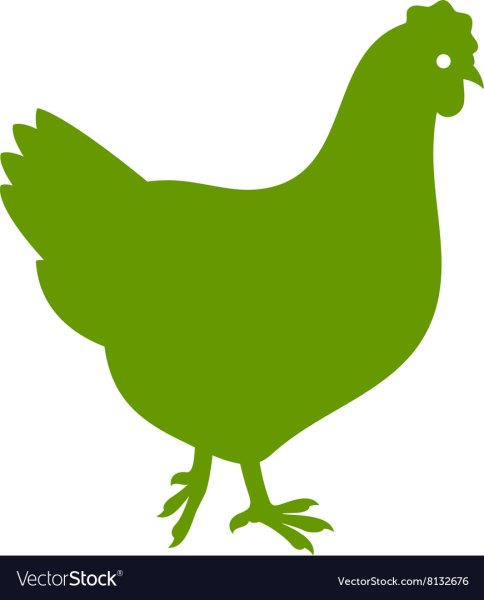 Курица вектор