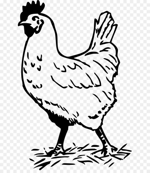 Курочка для раскрашивания