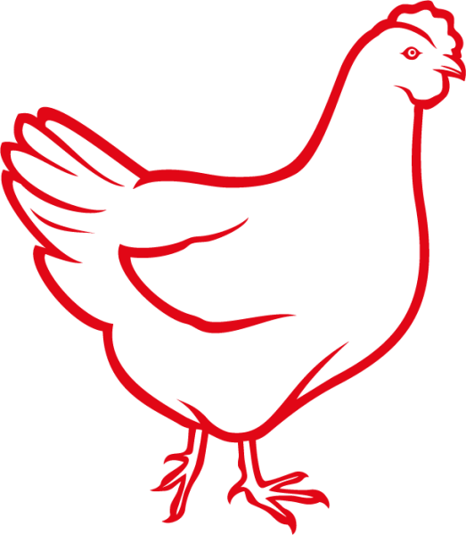 Несушка контур