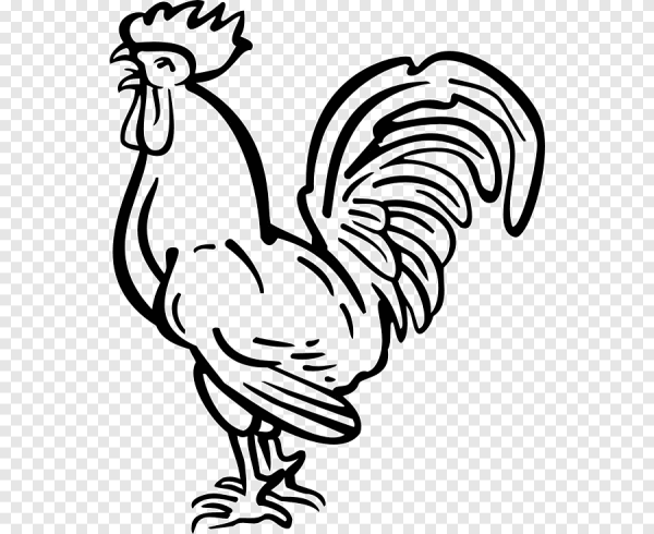 Петушок черно белый