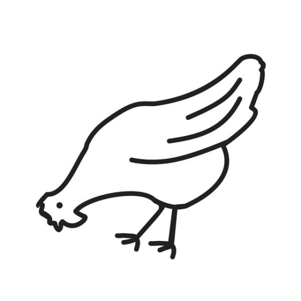 Курица пиктограмма