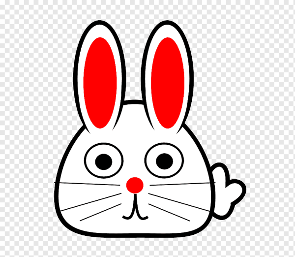 Рожица зайца