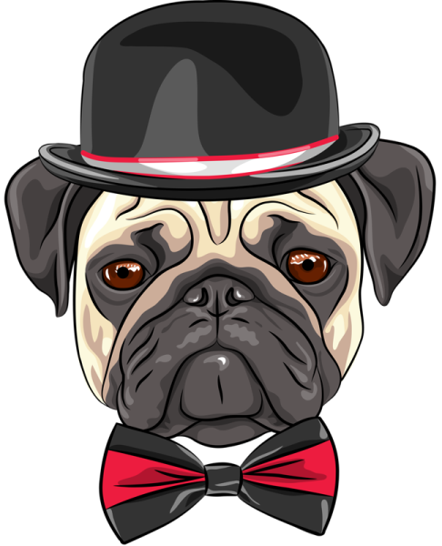 Мопс мультяшка