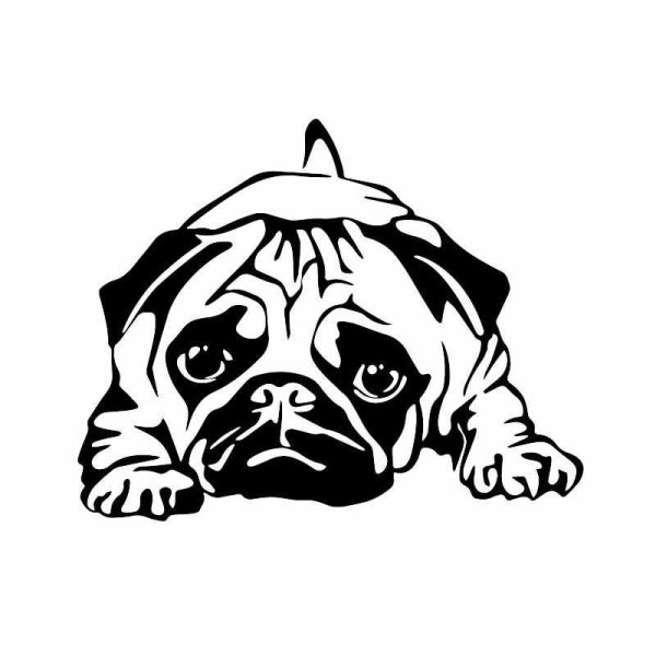 Наклейки Мопс на машину