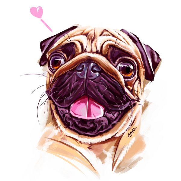 Морда МОПСА арт